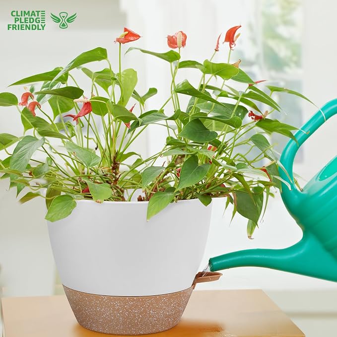YNNICO 12 Inch Large Self Watering Plant Pot Set, Flower Pots - Image 6