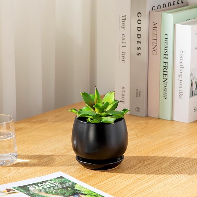 vancasso 3-Pack Ceramic Plant Pots, 3.7/4.8/6.2 Inch Indoor Planters - Image 8