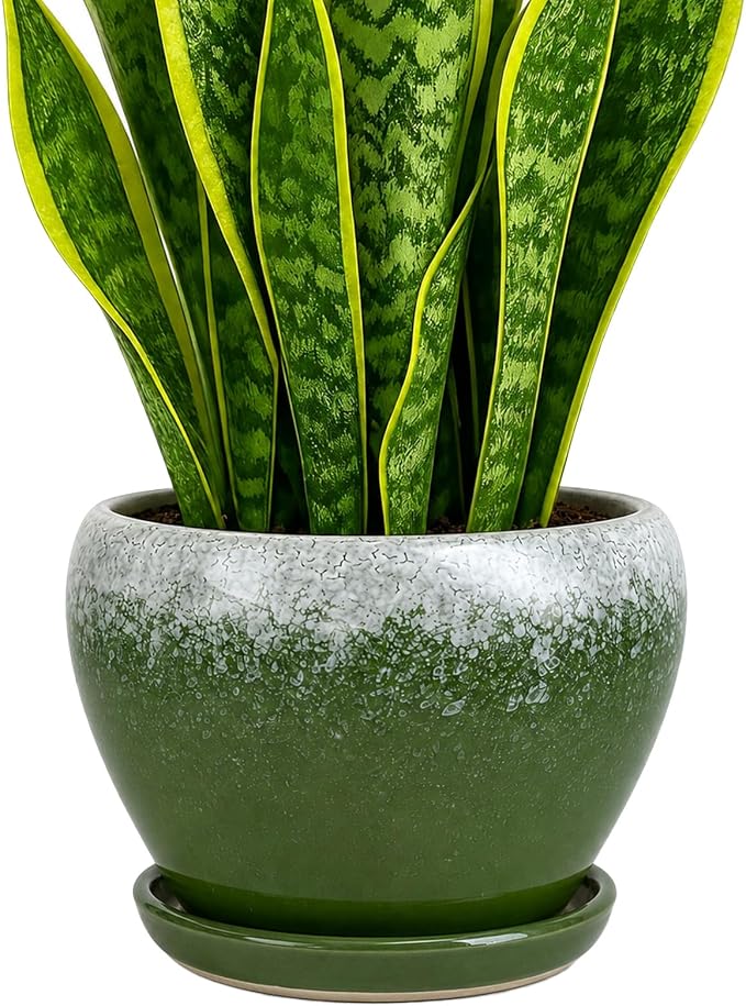 Deep Dream 8 Inch Plant Pots- Ceramic Pots by DeepDream