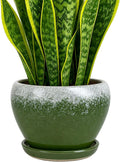 Deep Dream 8 Inch Plant Pots- Ceramic Pots by DeepDream