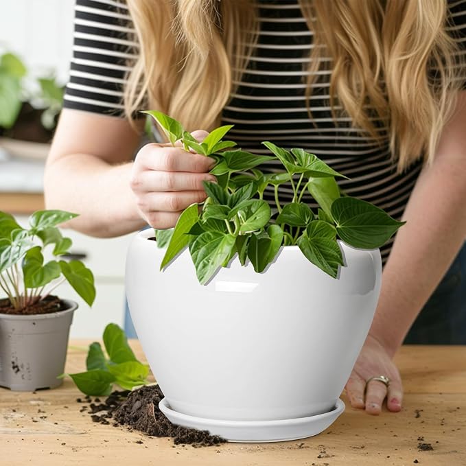Ceramicfor Ceramic Pot for Plants, 8 Inch Planter, Glossy White | Plant Pot - Image 5