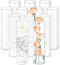 12pcs 12 Inch Clear Glass Cylinder Vases by TBWIND
