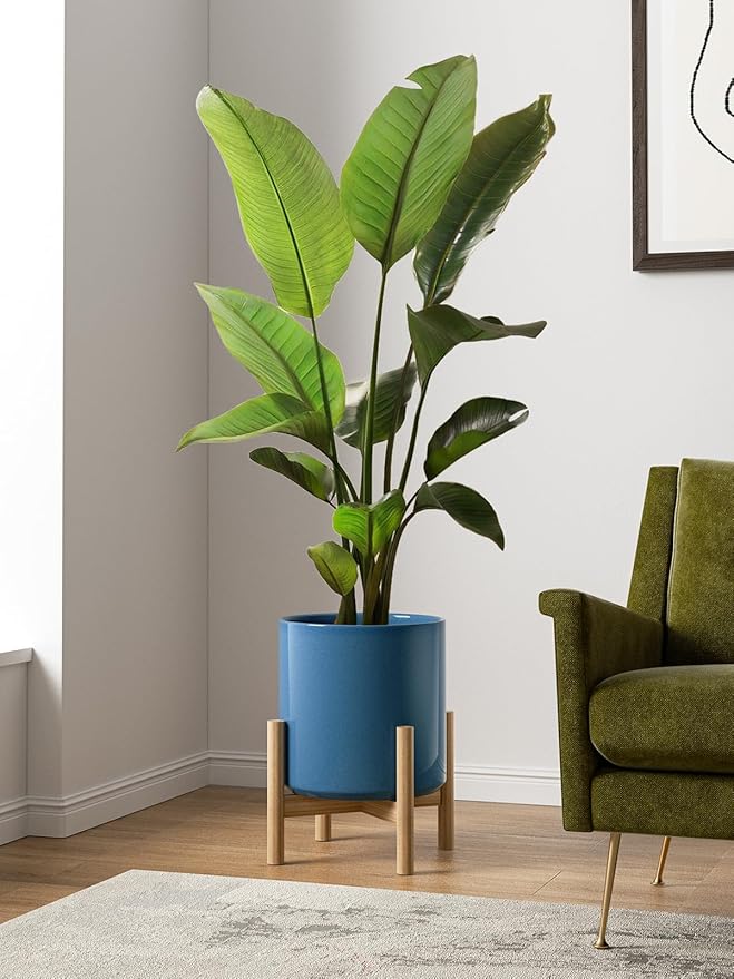 LE TAUCI 12 Inch Pot for Plants, Ceramic Planters for Indoor Plants, - Image 2