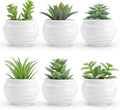 Der Rose 6 Pack Succulents Fake Plants by DerRose