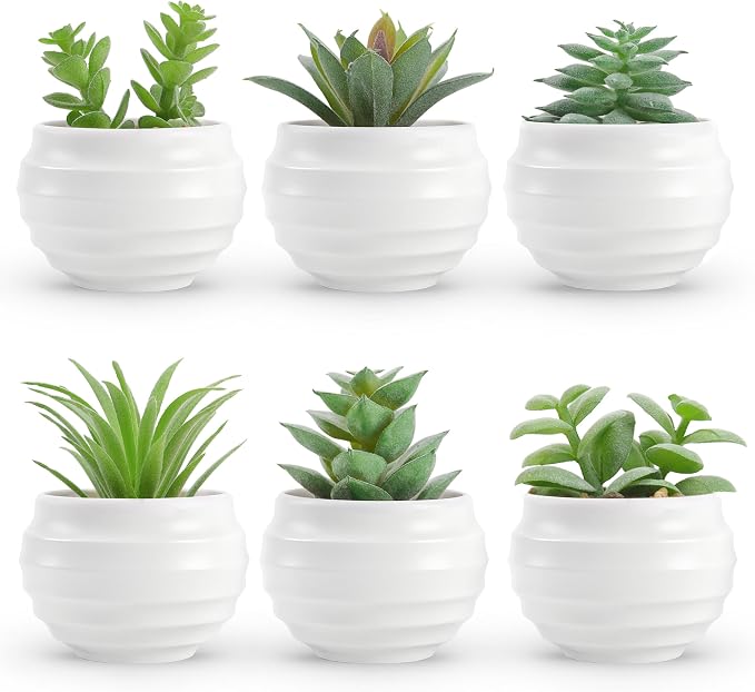 Der Rose 6 Pack Succulents Fake Plants by DerRose