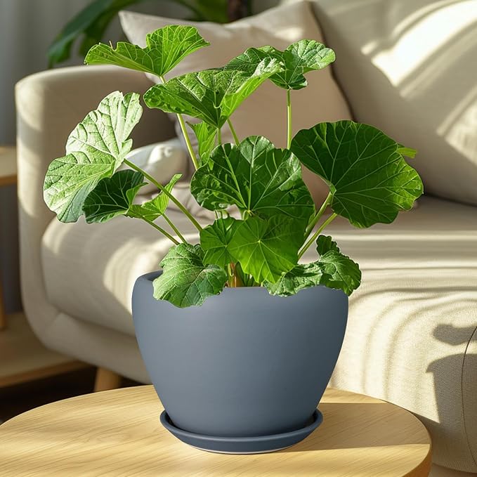 Ceramicfor Ceramic Pot for Plants, 8 Inch Plant Pot, Matte Gray | Plant Pots - Image 7