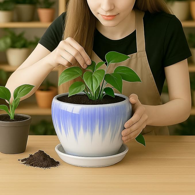 Deep Dream 8 Inch Plant Pots- Ceramic Pots - Image 6