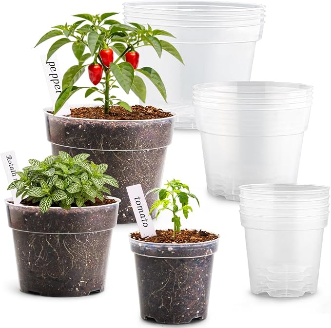 RooTrimmer 15 Pack 8/6/4 Inch Clear Nursery Pots by RooTrimmer