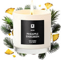 Lulu Candles Pineapple Evergreen Scented Soy Blend Jar Candle, 9 Oz. | Luxury by LULUCANDLES