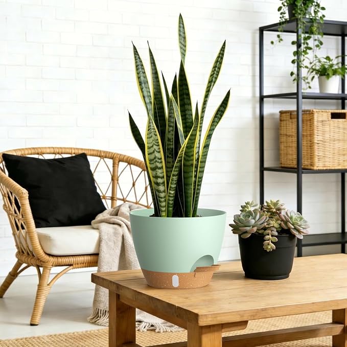 Self Watering Pots with Drainage Holes, 3 Pack 12/10/8 Inch Plant Pots with - Image 6