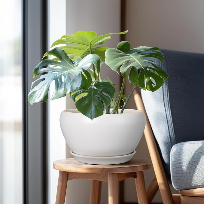 Ceramicfor Ceramic Planter for Indoor Plants - Image 5