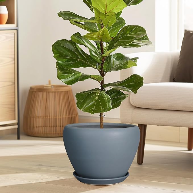 Ceramicfor 10 Inch Plant Pot, Ceramic Planter, Matte Gray | Planter - Image 2