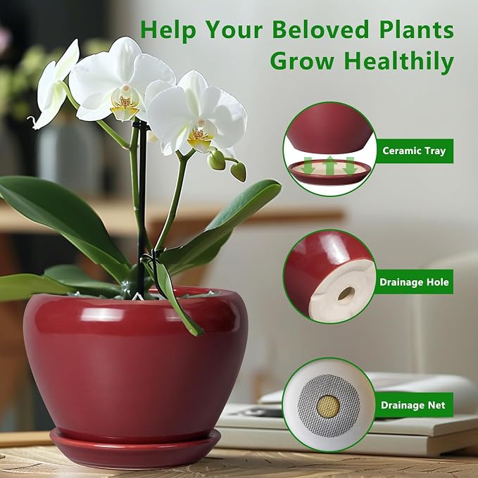 Ceramicfor Ceramic Pot for Plants - Image 6