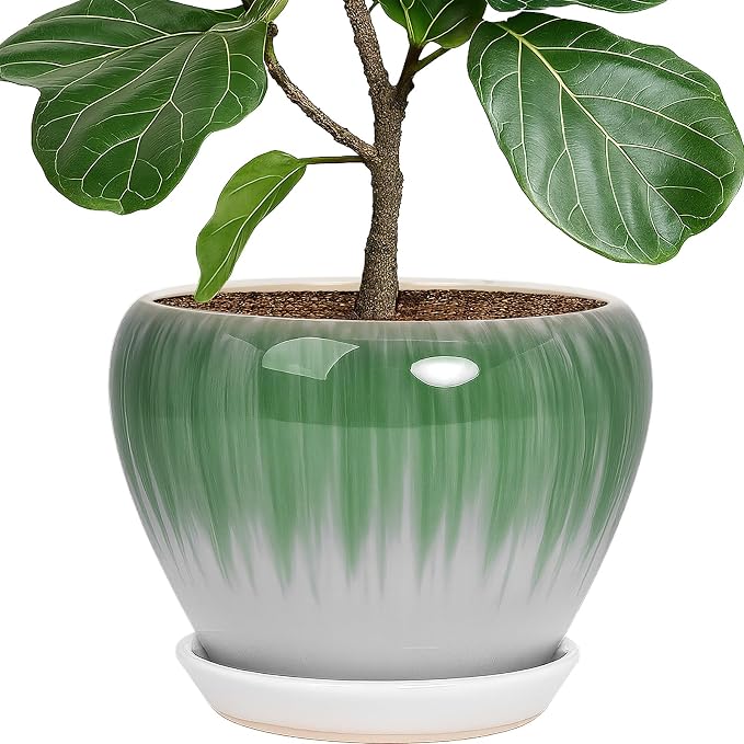 Deep Dream 10 Inch Plant Pot- Ceramic Planter Pot Round Plant Pots by DeepDream