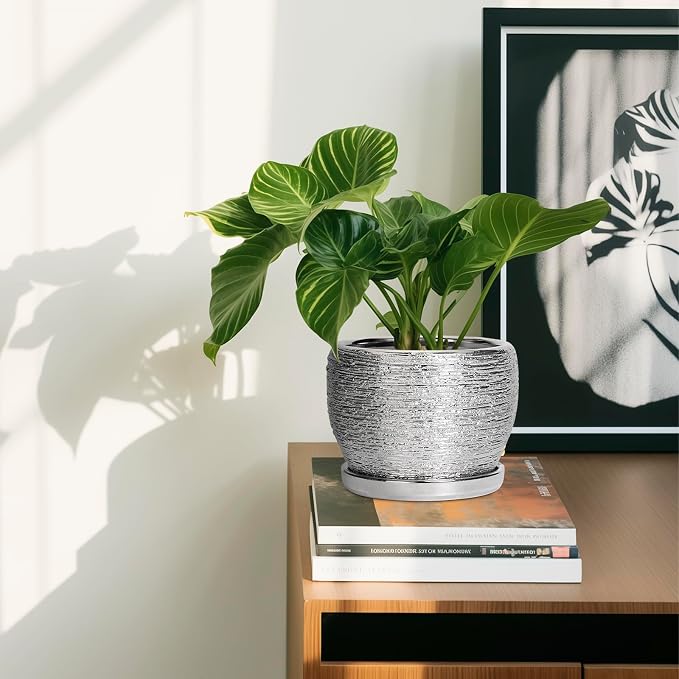 SQOWL Ceramic Plant Pots - Image 6