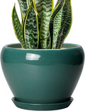 Ceramicfor 8 Inch Plant Pot by Ceramicfor