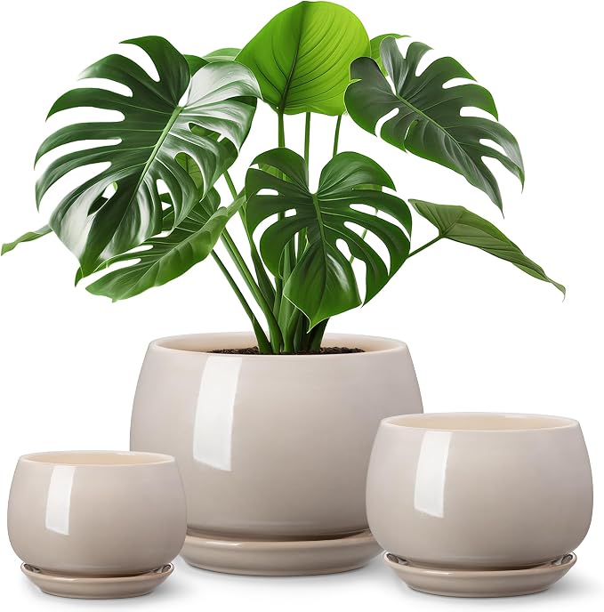 vancasso 3-Pack Ceramic Plant Pots, 3.7/4.8/6.2 Inch Indoor Planters by vancasso