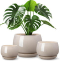 vancasso 3-Pack Ceramic Plant Pots, 3.7/4.8/6.2 Inch Indoor Planters by vancasso
