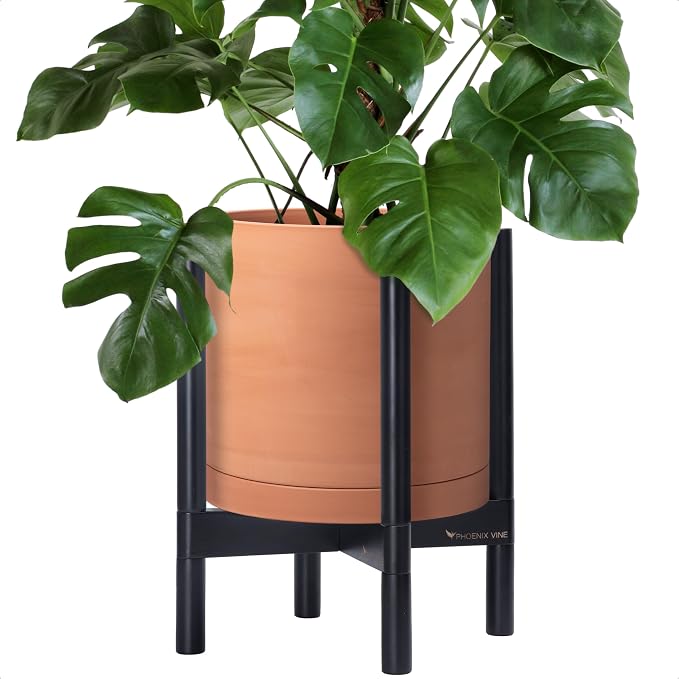 D'vine Dev Terracotta Pot with Ebony Wood Stand, 12 in, 55-B-H-5 | Mid-Century by DvineDevPlanterPotsandStand