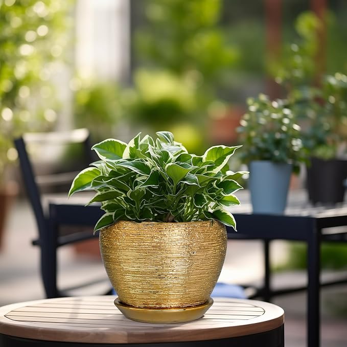 Ceramicfor Indoor Plant Pot 6 Inch - Image 4