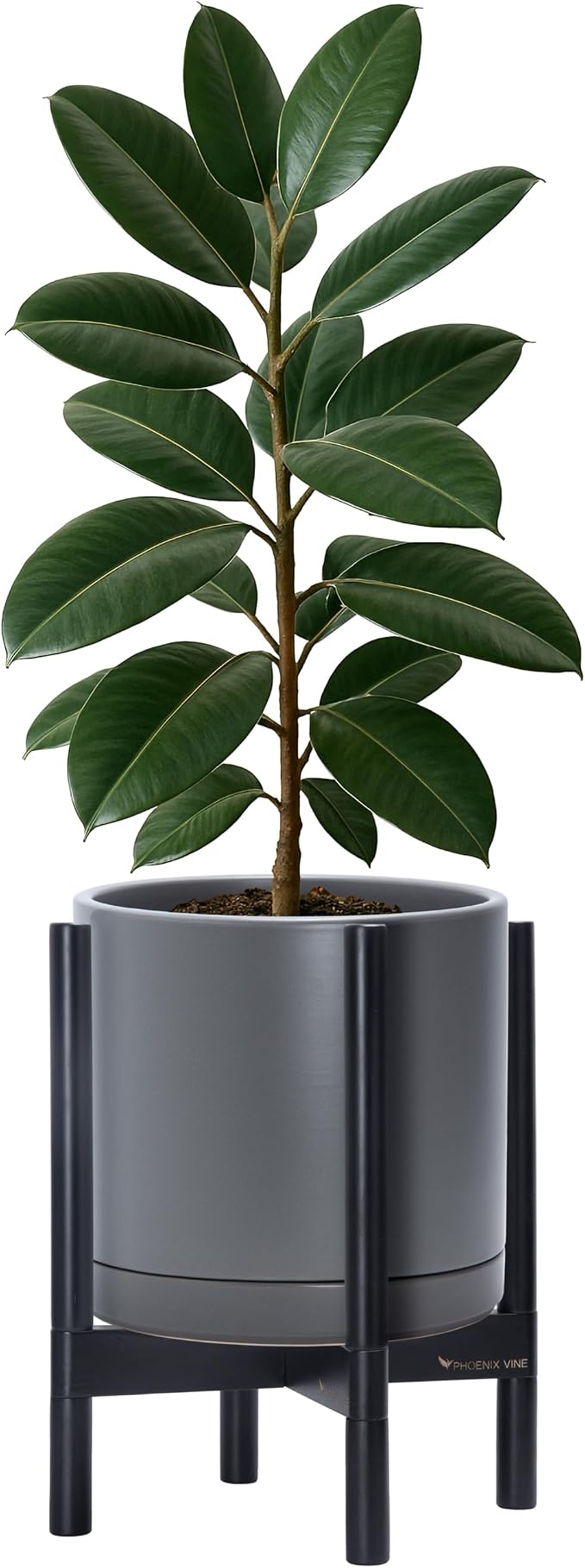 D'vine Dev Ceramic Pot with Ebony Wood Stand, 12 in, 55-B-H-3 | Mid-Century - Image 7