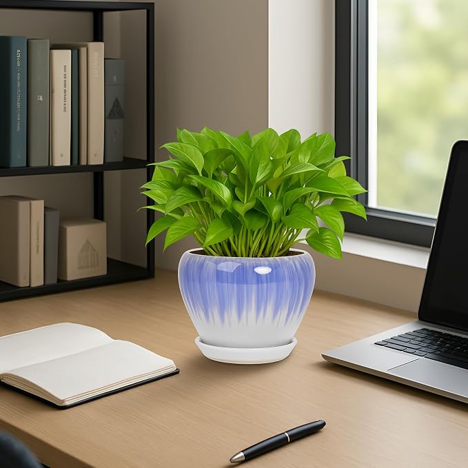 Deep Dream 6 Inch Plant Pots- Ceramic Planter Pot - Image 4