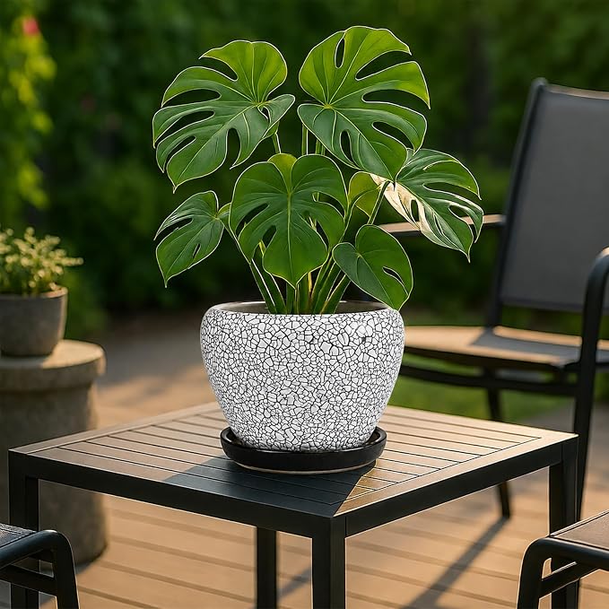 Deep Dream 8 Inch Plant Pots- Ceramic Pots - Image 2