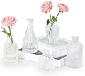 SUPMIND 5pcs Glass Bud Vase Set, Home Decor, Table Decoration, Baby Shower by SUPMIND