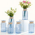 6 Pack Mason Jar Vases for Centerpieces, Wide Mouth Mason Jars by LEYIQU
