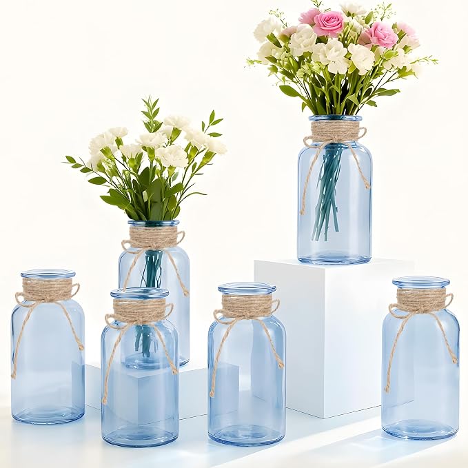 6 Pack Mason Jar Vases for Centerpieces, Wide Mouth Mason Jars by LEYIQU