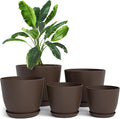 Plant Pots Indoor with Drainage, 5 Pack Multi-Size Planters Set by UTOPIAHOME