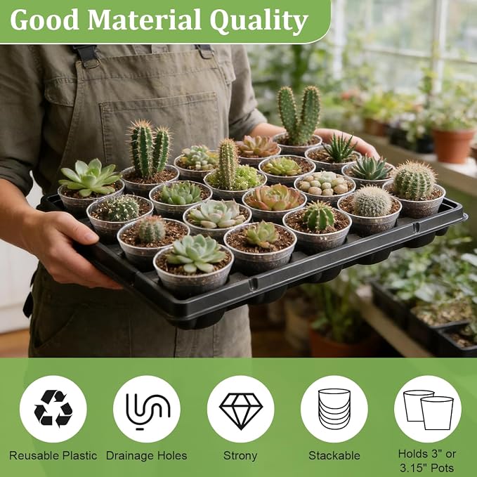 3 Inch Clear Nursery Pots 100 Pcs - Image 6