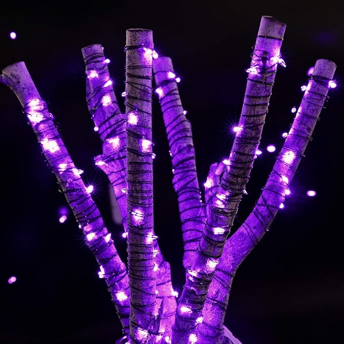 Brightown 24 Pack Fairy Lights Battery Operated, Halloween String Lights - Image 5