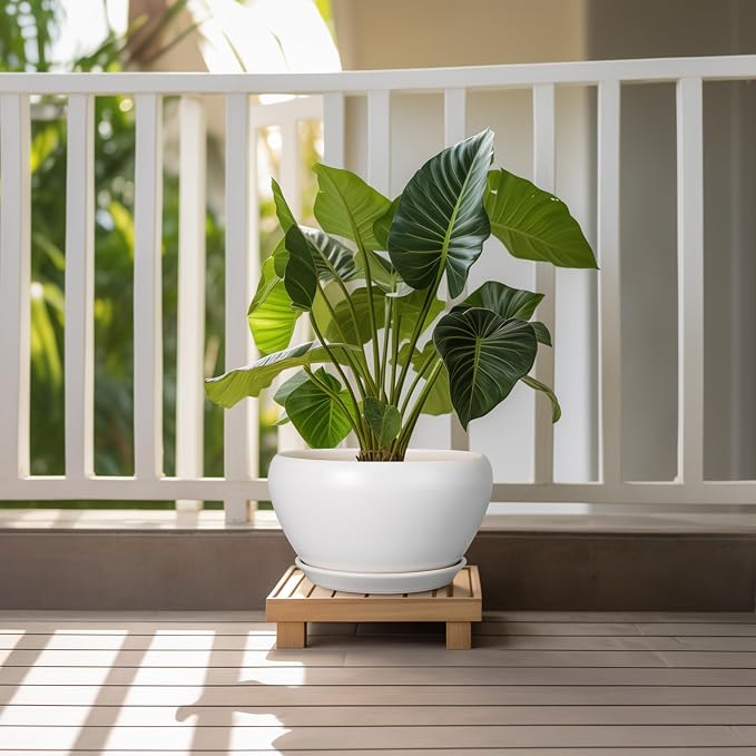 Ceramicfor Ceramic Planter for Indoor Plants - Image 2