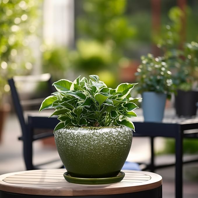 Ceramicfor 6 Inch Plant Pot - Image 2