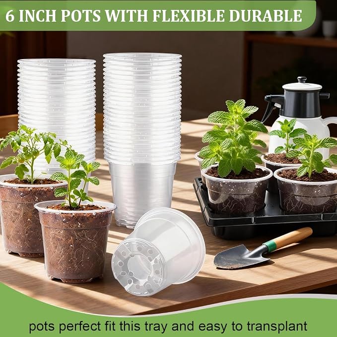 RooTrimmer 30 Pack 6 Inch Clear Nursery Pots and 5 Pack 6 Cell Round Plant Pot - Image 4