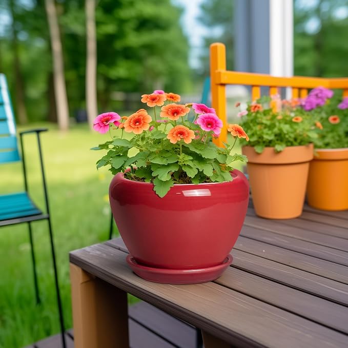 Ceramicfor 6 Inch Plant Pot - Image 4