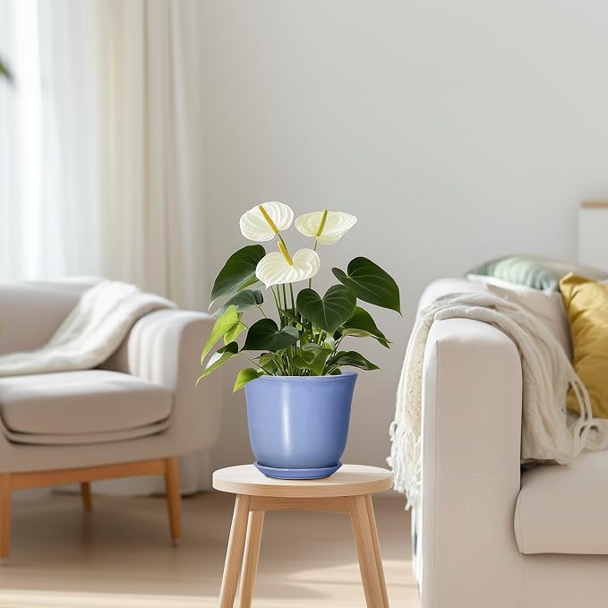 Ceramic Plant Pots, 5.6 Inch Plant Pot - Image 3