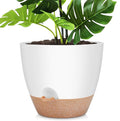YNNICO 12 Inch Large Self Watering Plant Pot Set, Flower Pots by AFamilyofGardenLovers