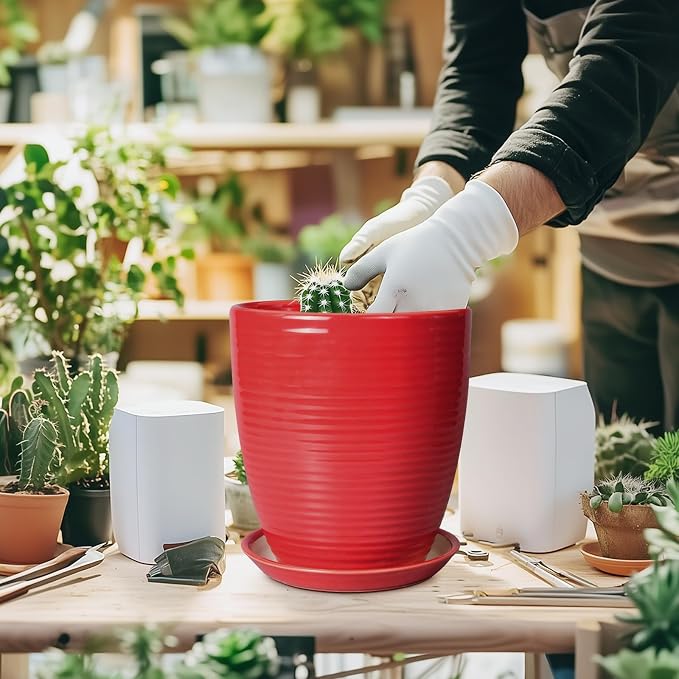 Ceramic Pot for Plants - Image 4