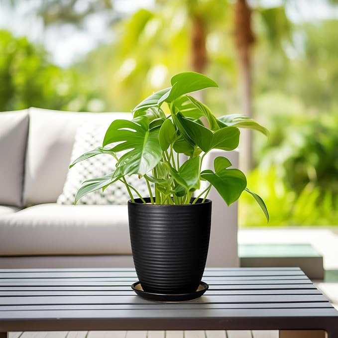 Ceramic Plant Pot - Image 6