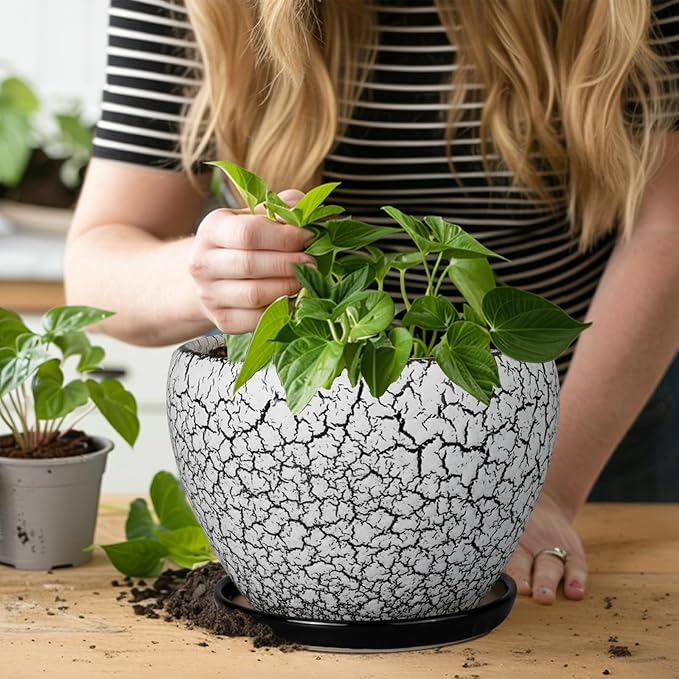 Ceramicfor Ceramic Plant Pot 8 Inch - Image 4