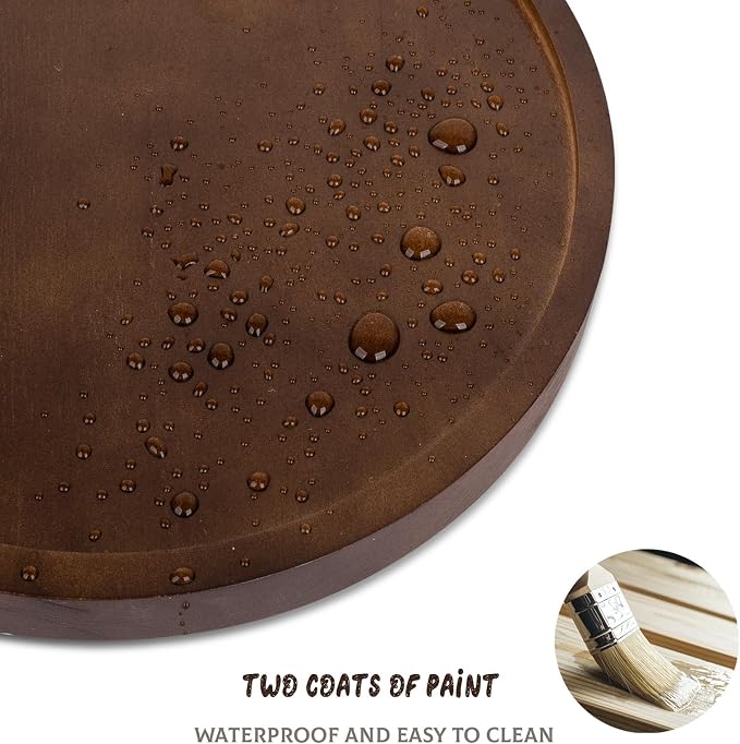 zoocatia Round Decorative Tray Farmhouse Kitchen Decor Soap Dish, Lightweight - Image 3