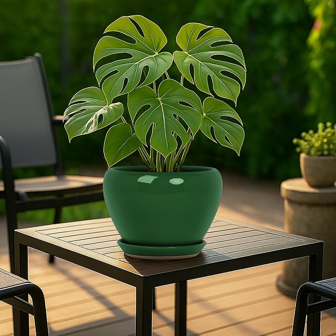 Deep Dream 8 Inch Plant Pots- Ceramic Pots - Image 3