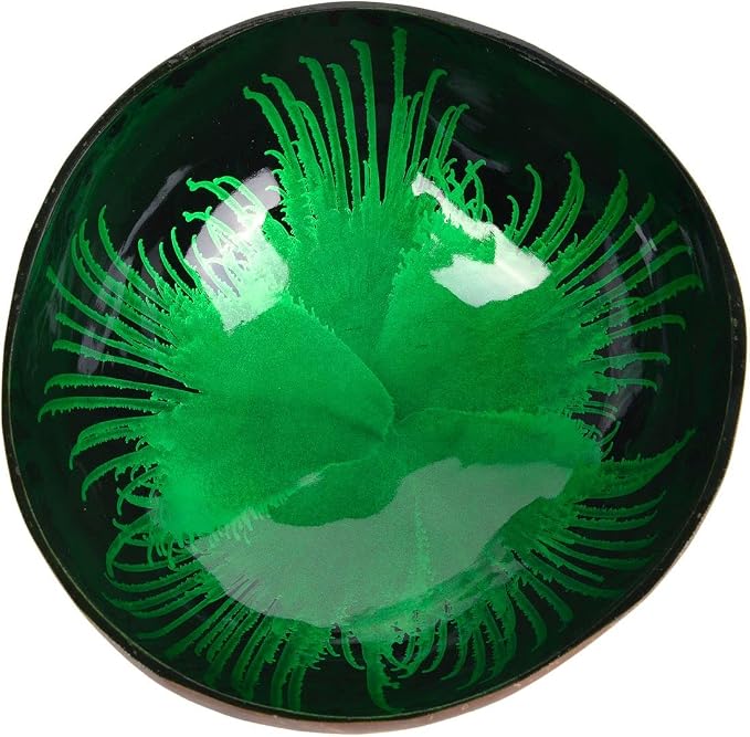 Natural Coconut Bowl Key Decorative by ChezMax