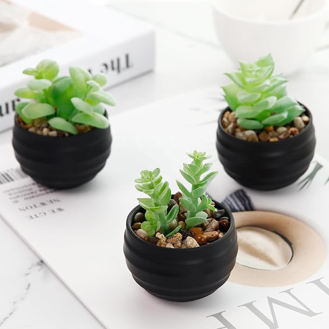 Der Rose 6 Pack Fake Succulents Plants in Black Pots - Image 4
