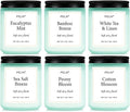 Scented Candles Gift Set, Fresh Botanical Scents | Eucalyptus, Sea Salt & by PELN