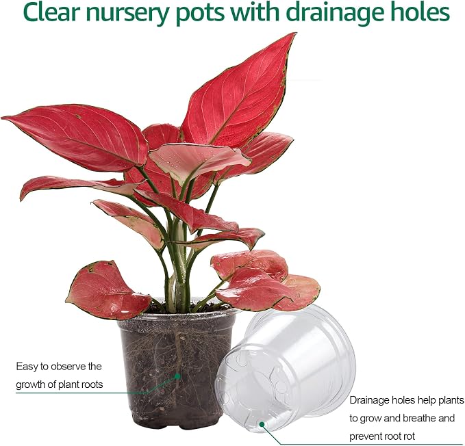 Bluepro Clear Nursery Pots - Image 8