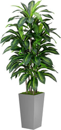 ASTIDY Artificial Plant 5FT Dracaena Fake Tree by ASTIDY