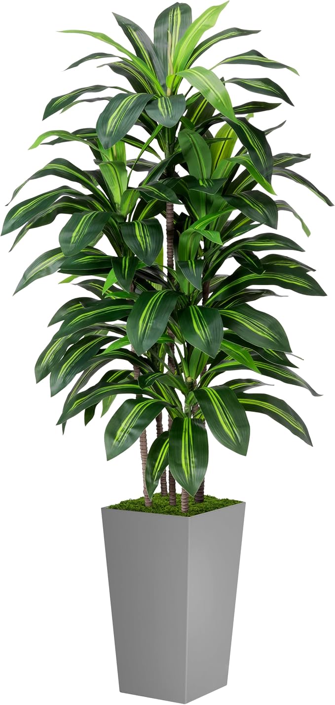 ASTIDY Artificial Plant 5FT Dracaena Fake Tree by ASTIDY